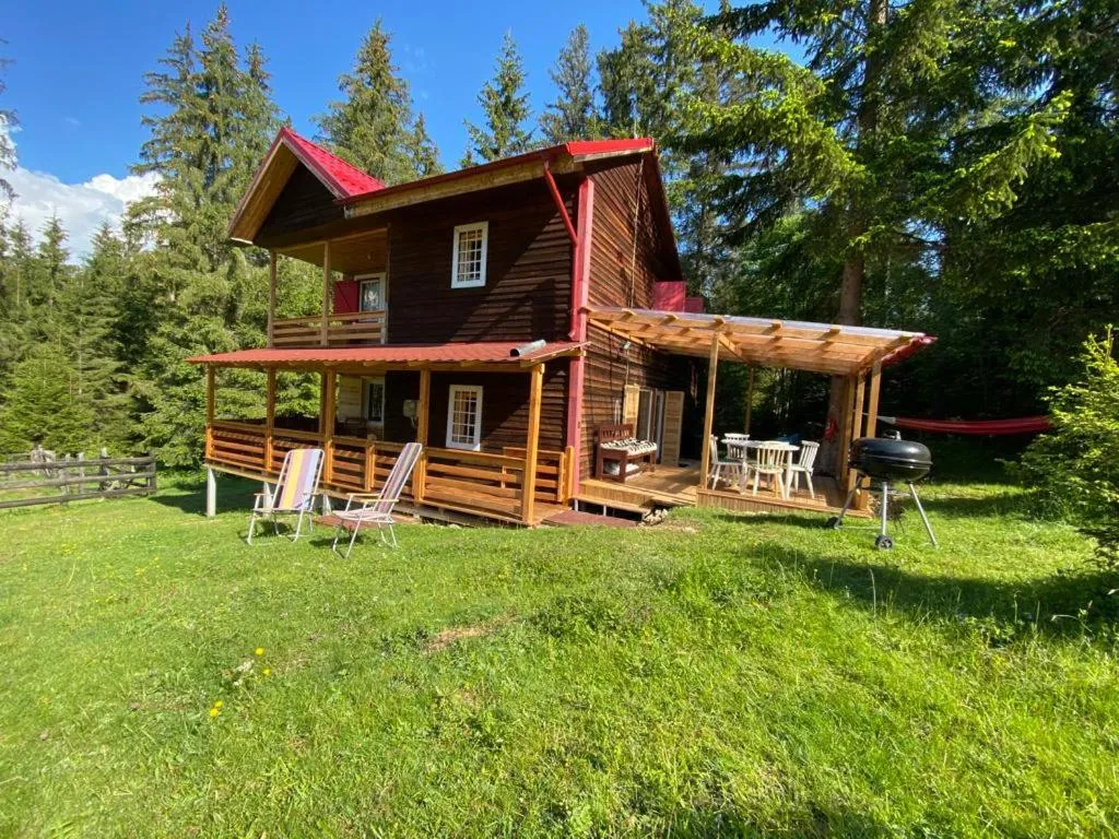 Image 1 of Cosy wooden house in the heart of Apuseni.
