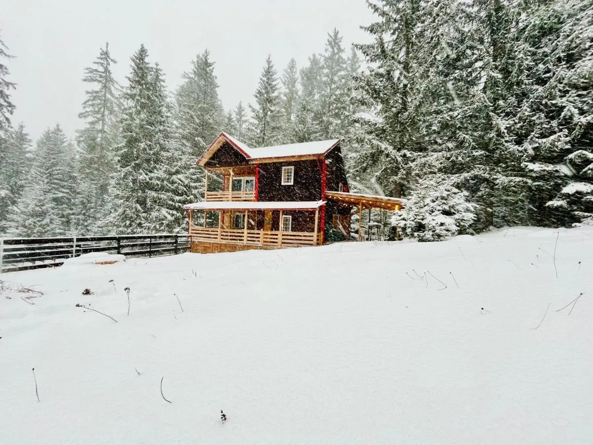 Image 5 of Cosy wooden house in the heart of Apuseni.