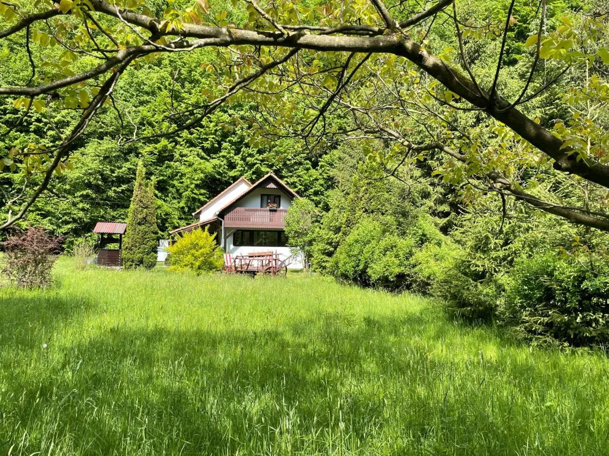 Image 3 of Cottage by the river Valea Draganului