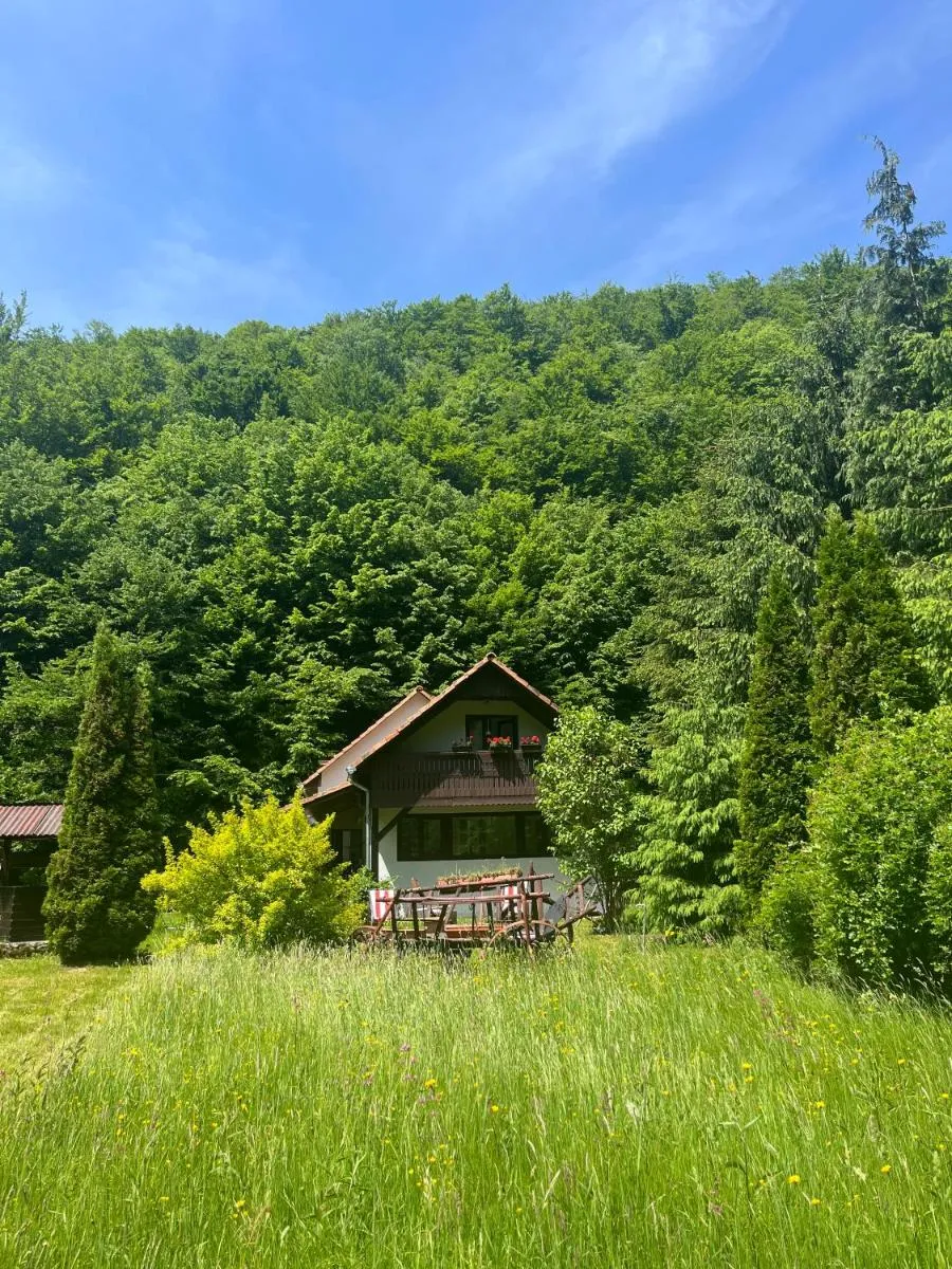 Image 4 of Cottage by the river Valea Draganului