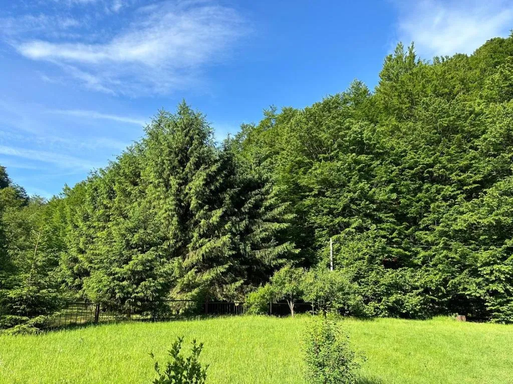 Image 1 of Cottage by the river Valea Draganului