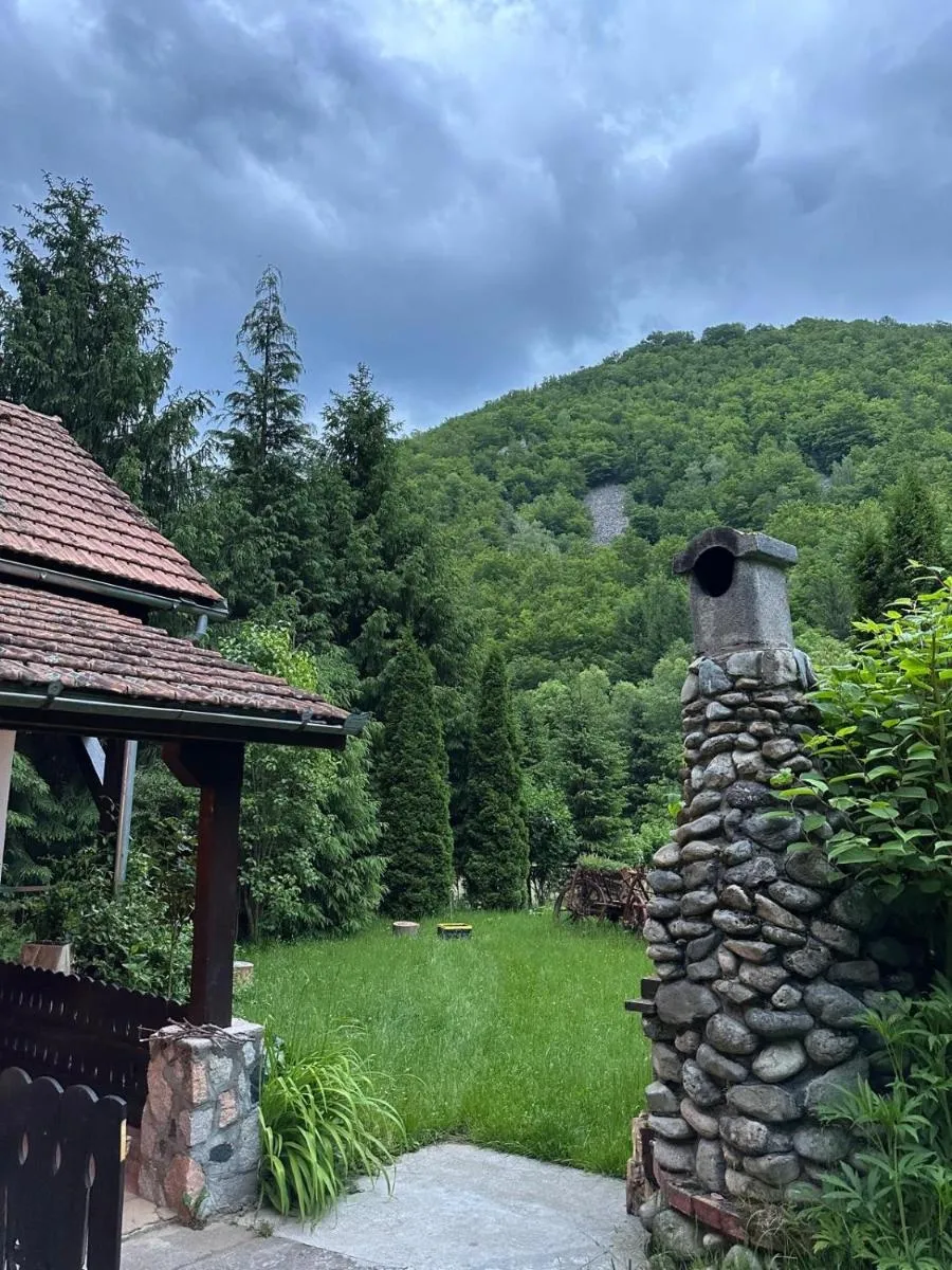 Image 7 of Cottage by the river Valea Draganului