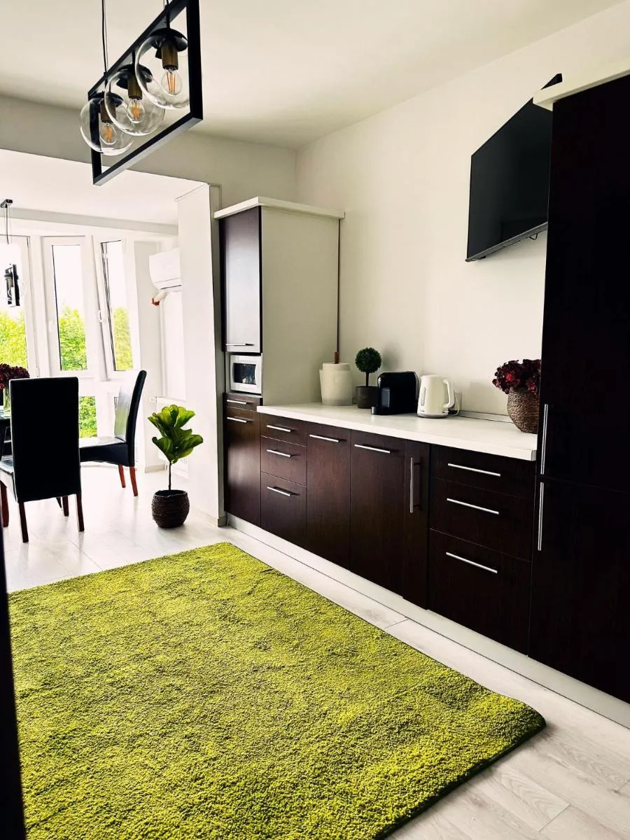 Image 3 of Cozy Brasov Getaway
