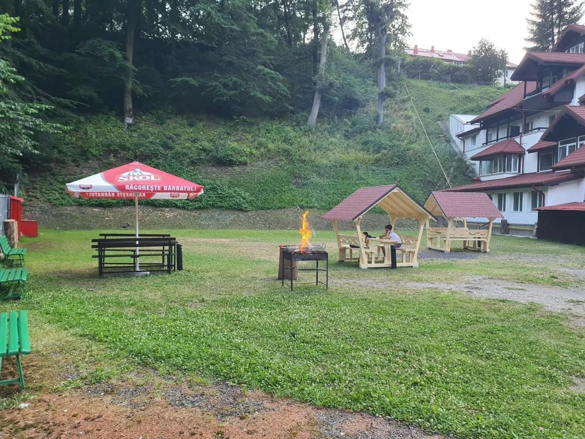 Image 4 of Cristal Sinaia