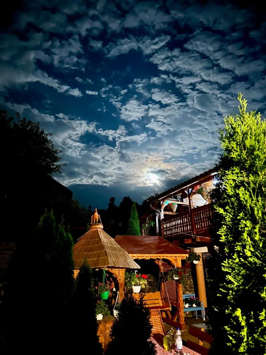Image 6 of Floare de Maramures 1