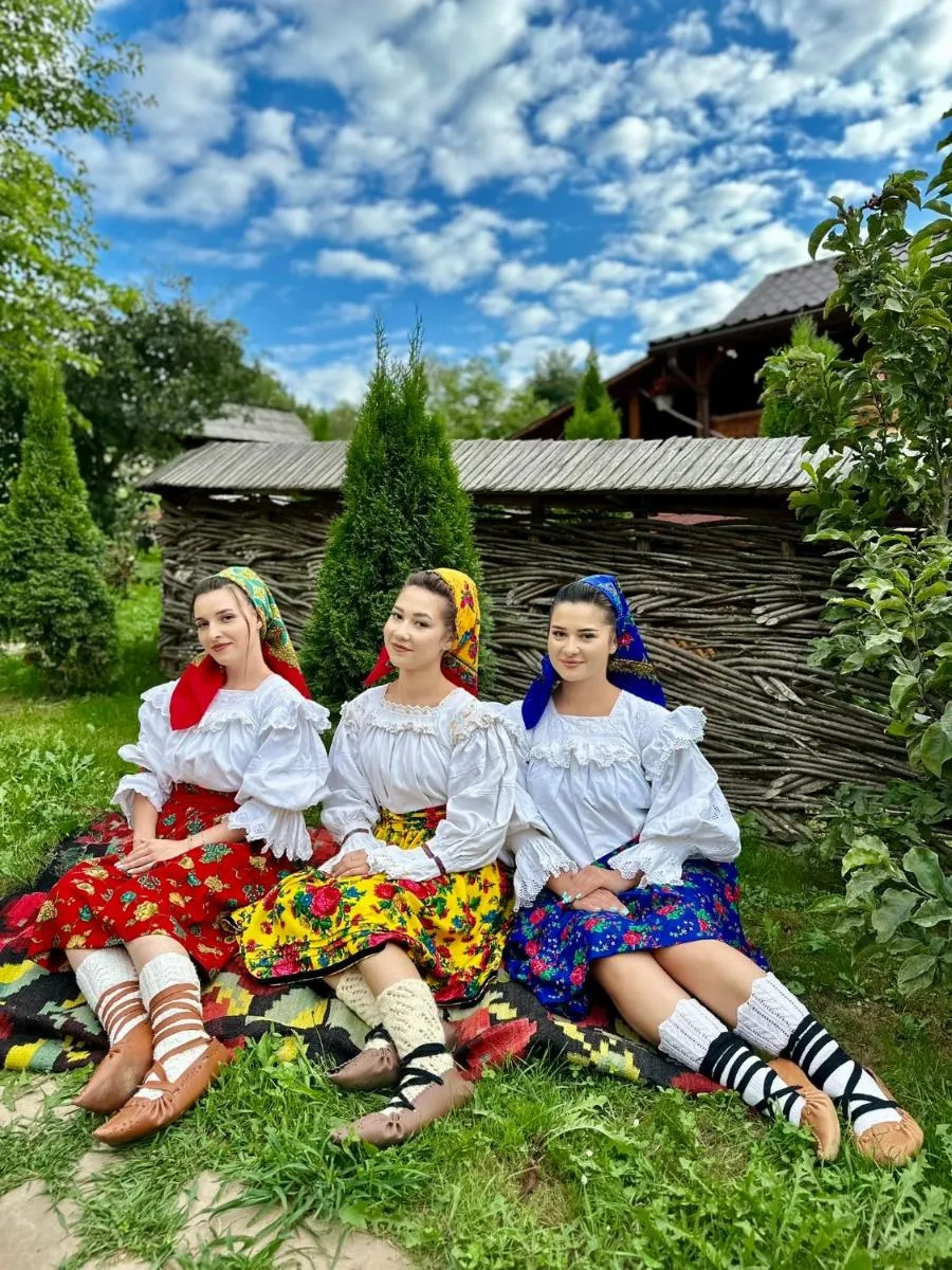 Image 4 of Floare de Maramures 1