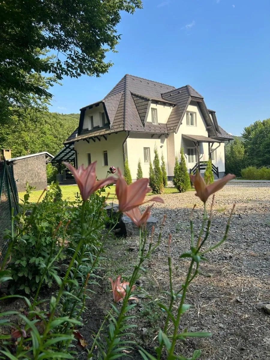 Image 4 of Flow House