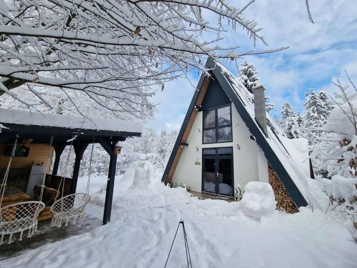 Image 6 of Forest A-frame-Porumbacu