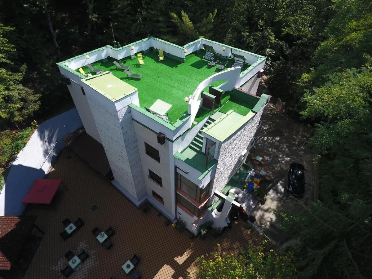 Image 7 of Former Ceausescu’s Vila Crizantema
