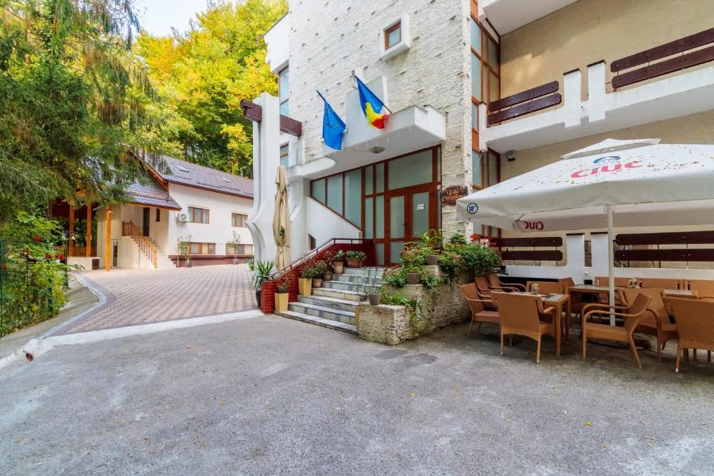 Image 1 of Former Ceausescu’s Vila Crizantema
