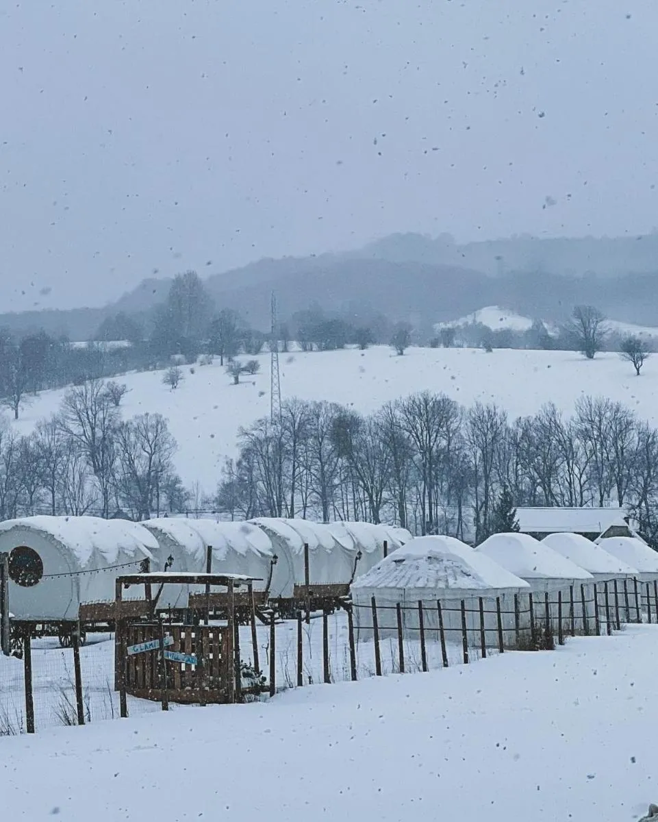 Image 7 of Glamping Iurte Mongole Spiritul Zimbrului