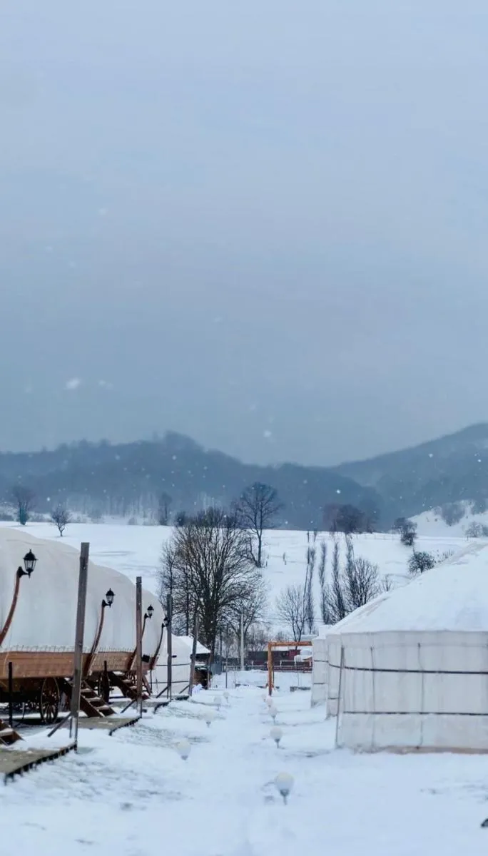 Image 6 of Glamping Spiritul Zimbrului