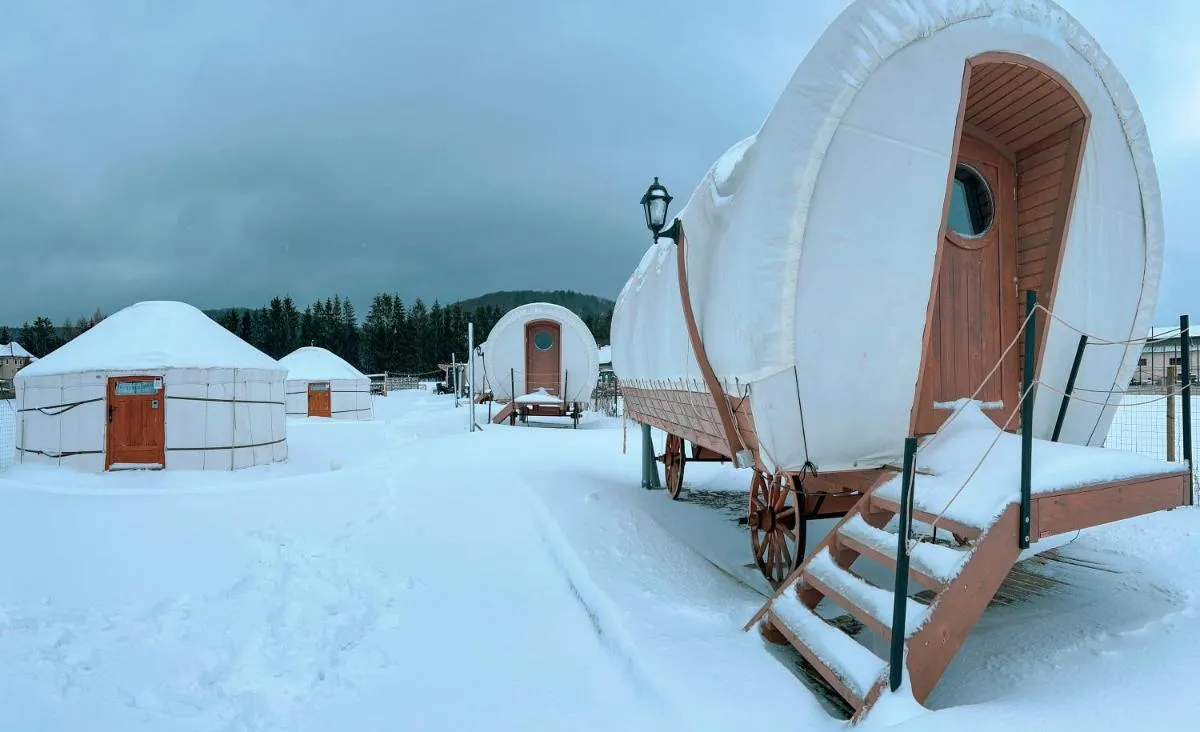 Image 5 of Glamping Spiritul Zimbrului