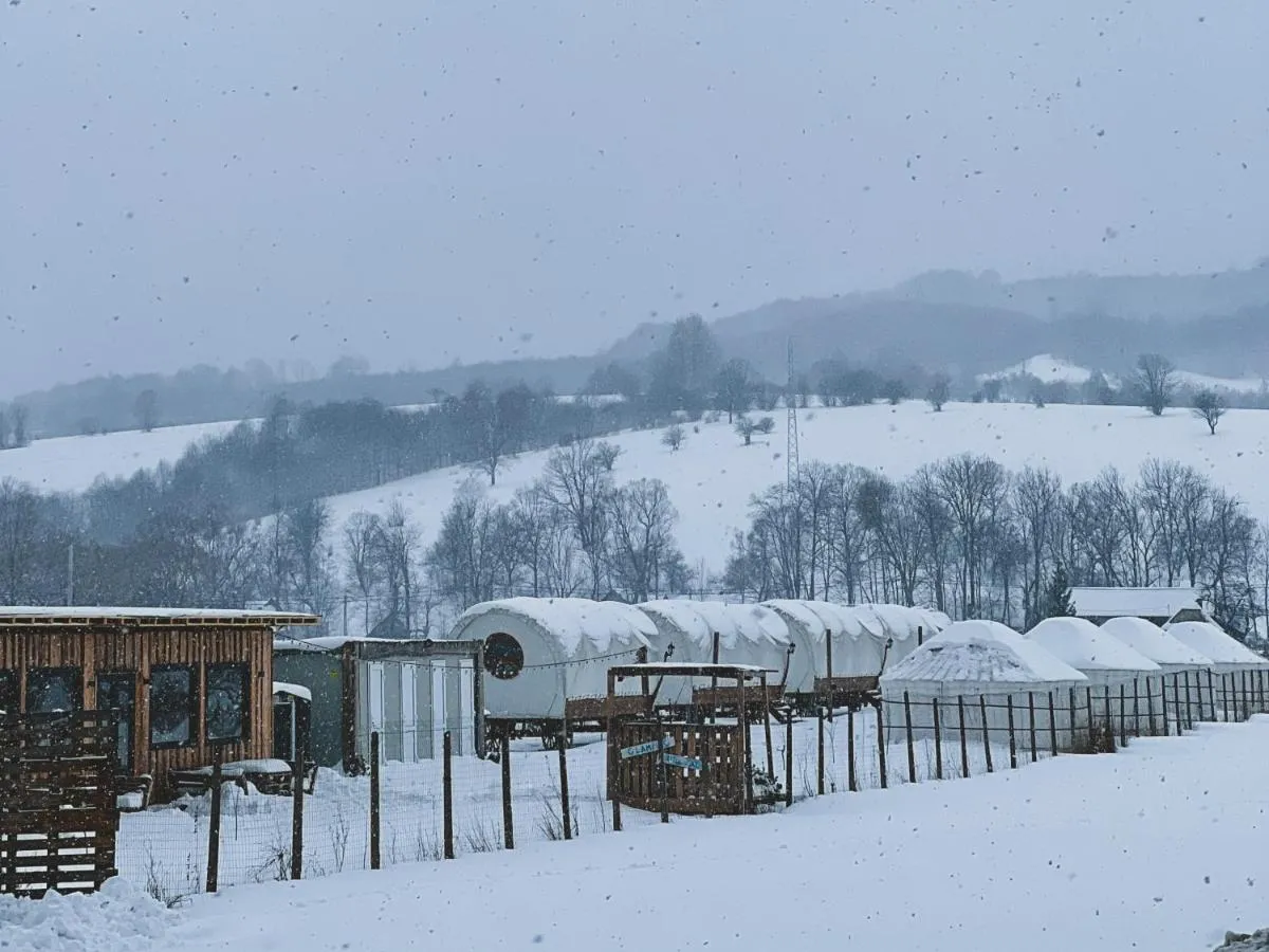 Image 2 of Glamping Spiritul Zimbrului