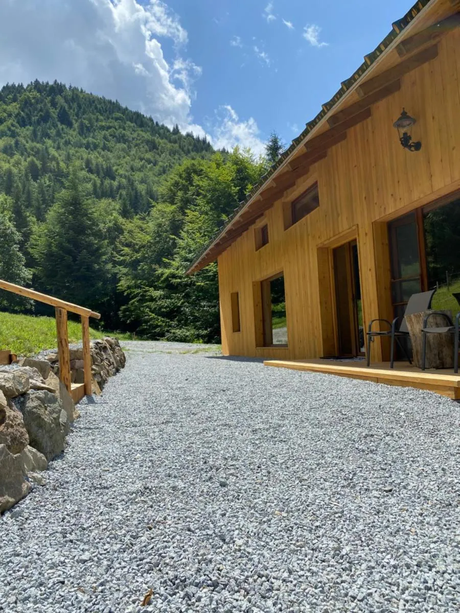 Image 6 of Granero Colibita