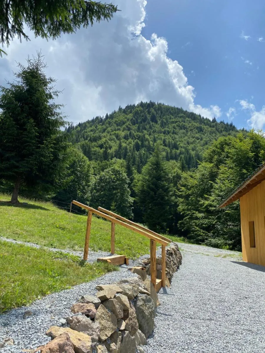 Image 5 of Granero Colibita