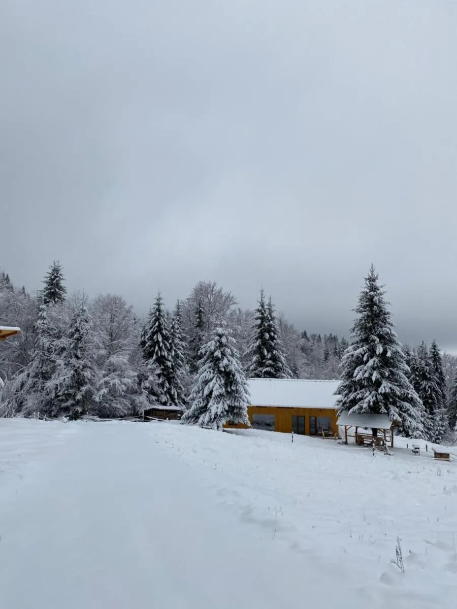 Image 3 of Granero Colibita
