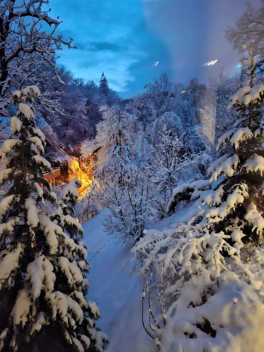 Image 4 of GreenHill Brasov