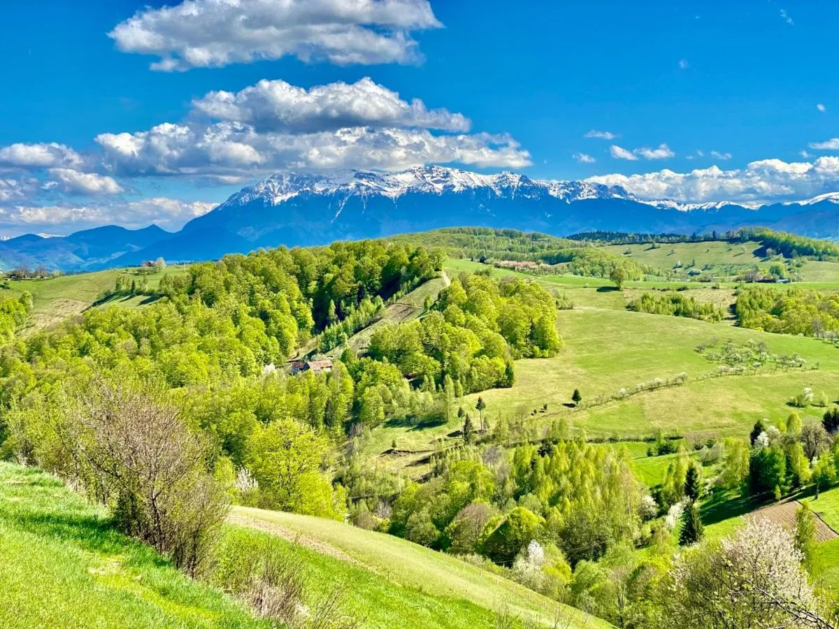 Image 7 of Green Hill Panoramic