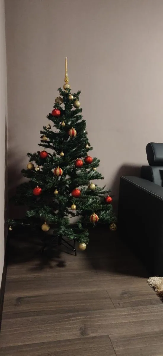 Image 3 of HOME APARTAMENT