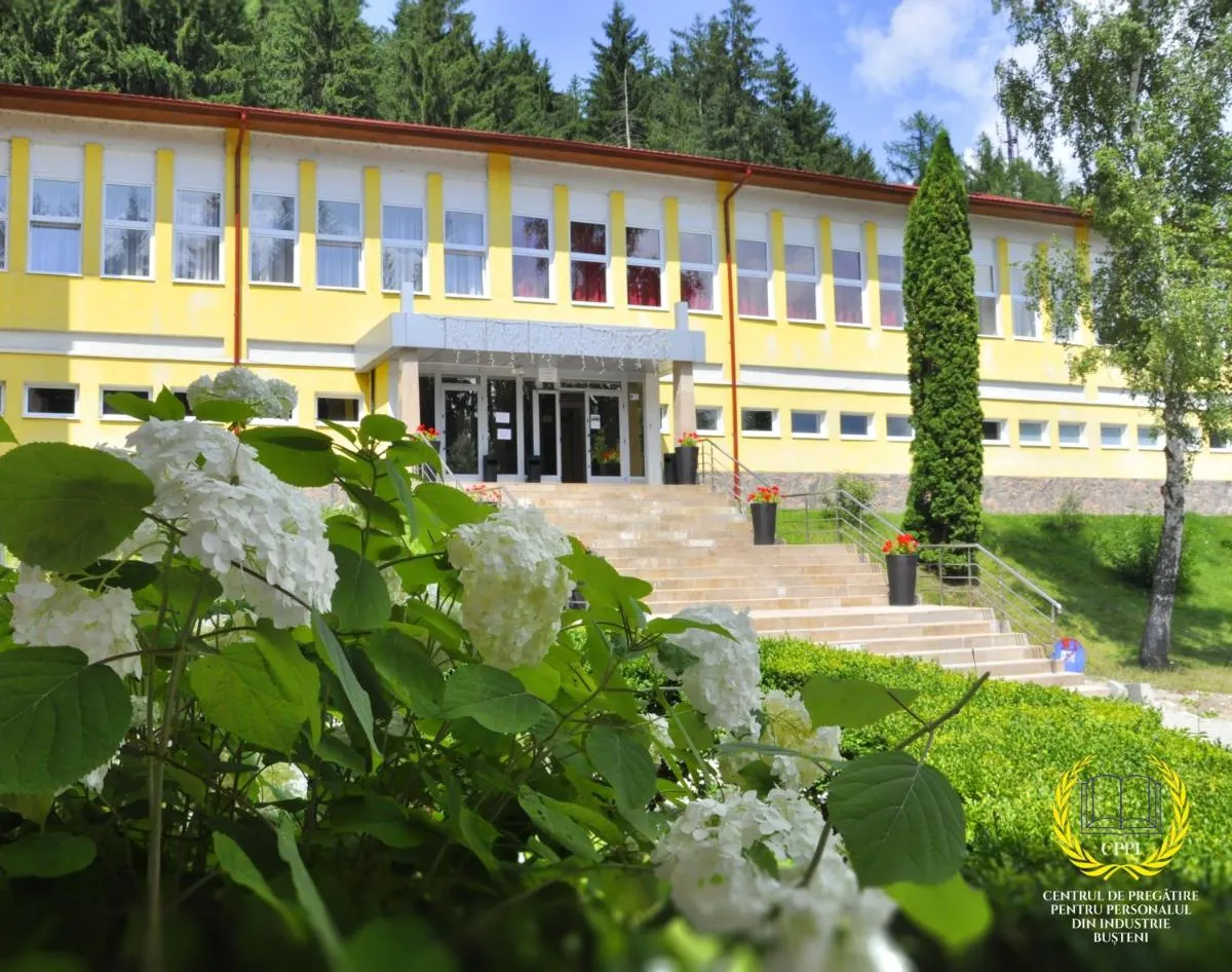 Image 7 of HOSTEL CPPI Vest