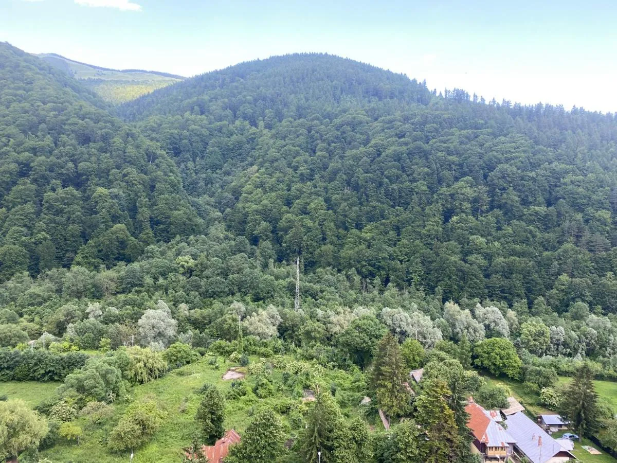 Image 5 of Heidy Sinaia