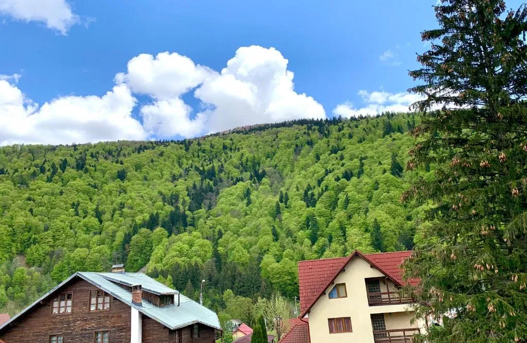 Image 1 of Holiday Home in Sinaia