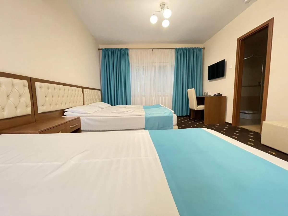 Image 3 of Hostel Paltinis