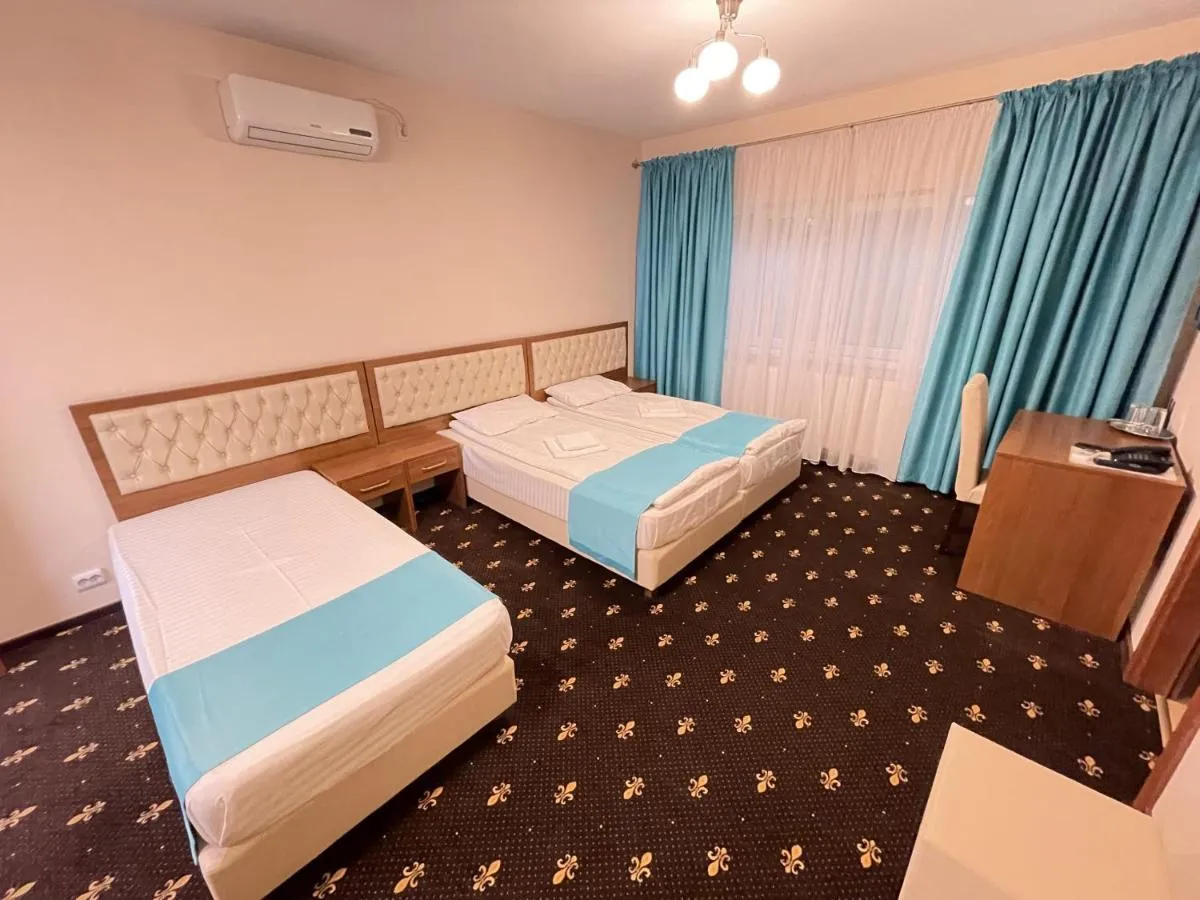 Image 4 of Hostel Paltinis