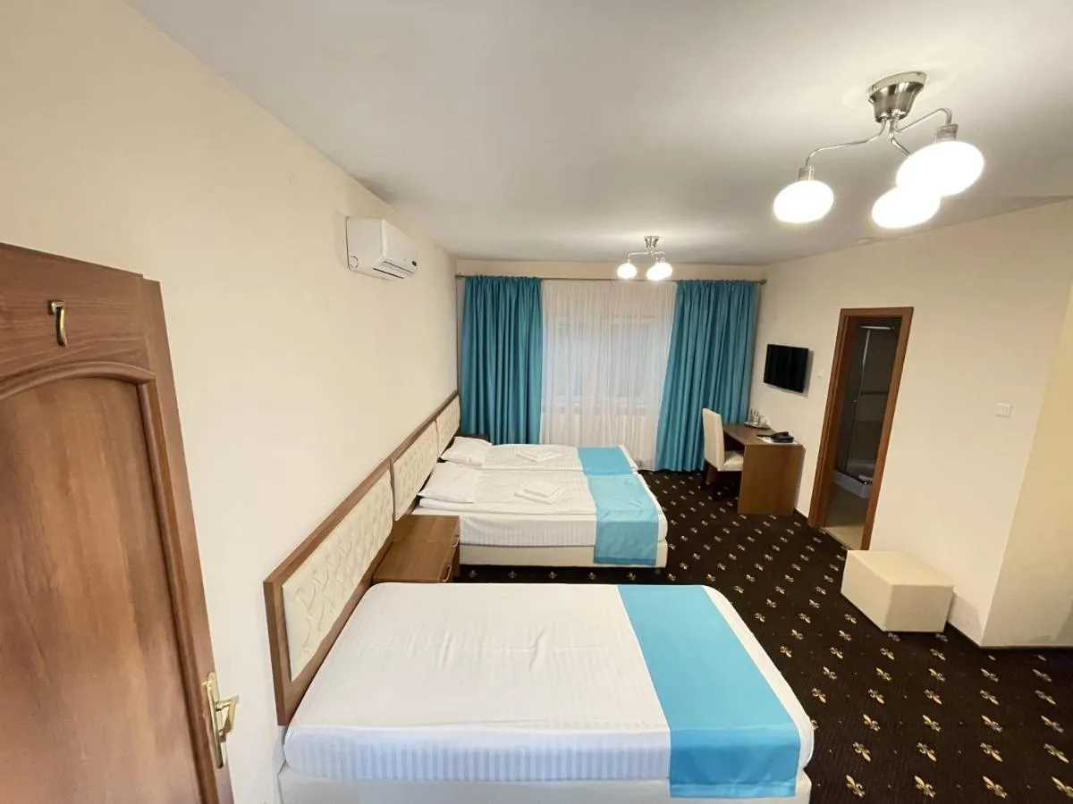 Image 5 of Hostel Paltinis