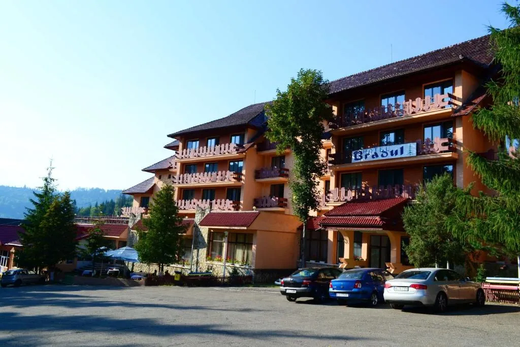 Image 1 of Hotel Bradul