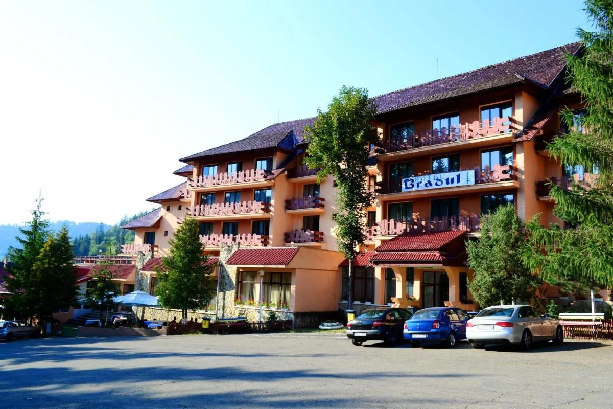 Image 3 of Hotel Bradul