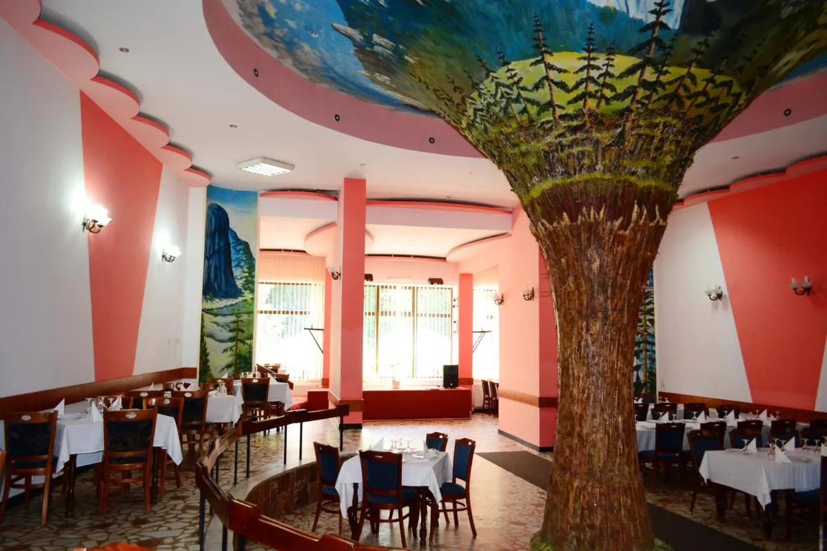 Image 2 of Hotel Bradul