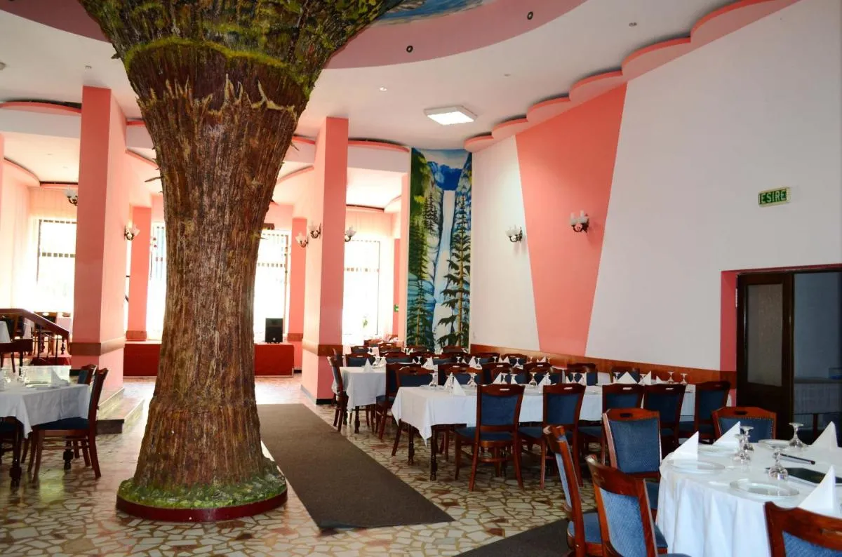 Image 6 of Hotel Bradul