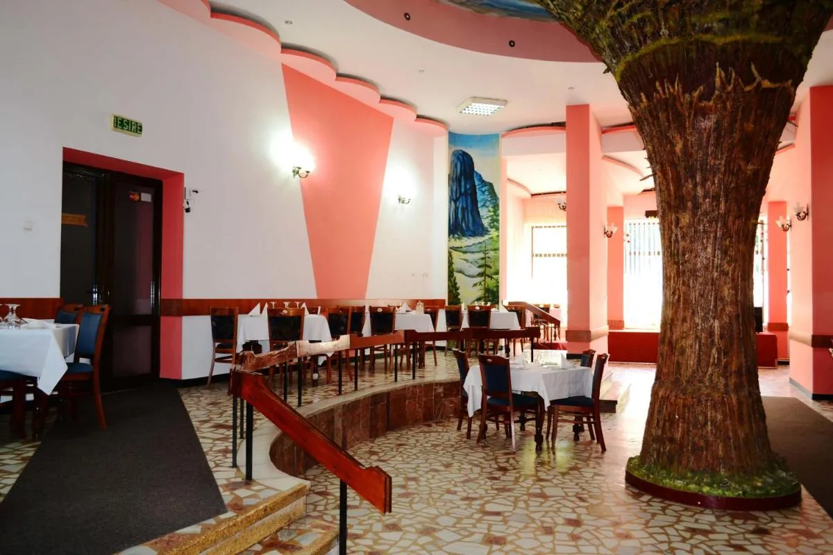 Image 7 of Hotel Bradul