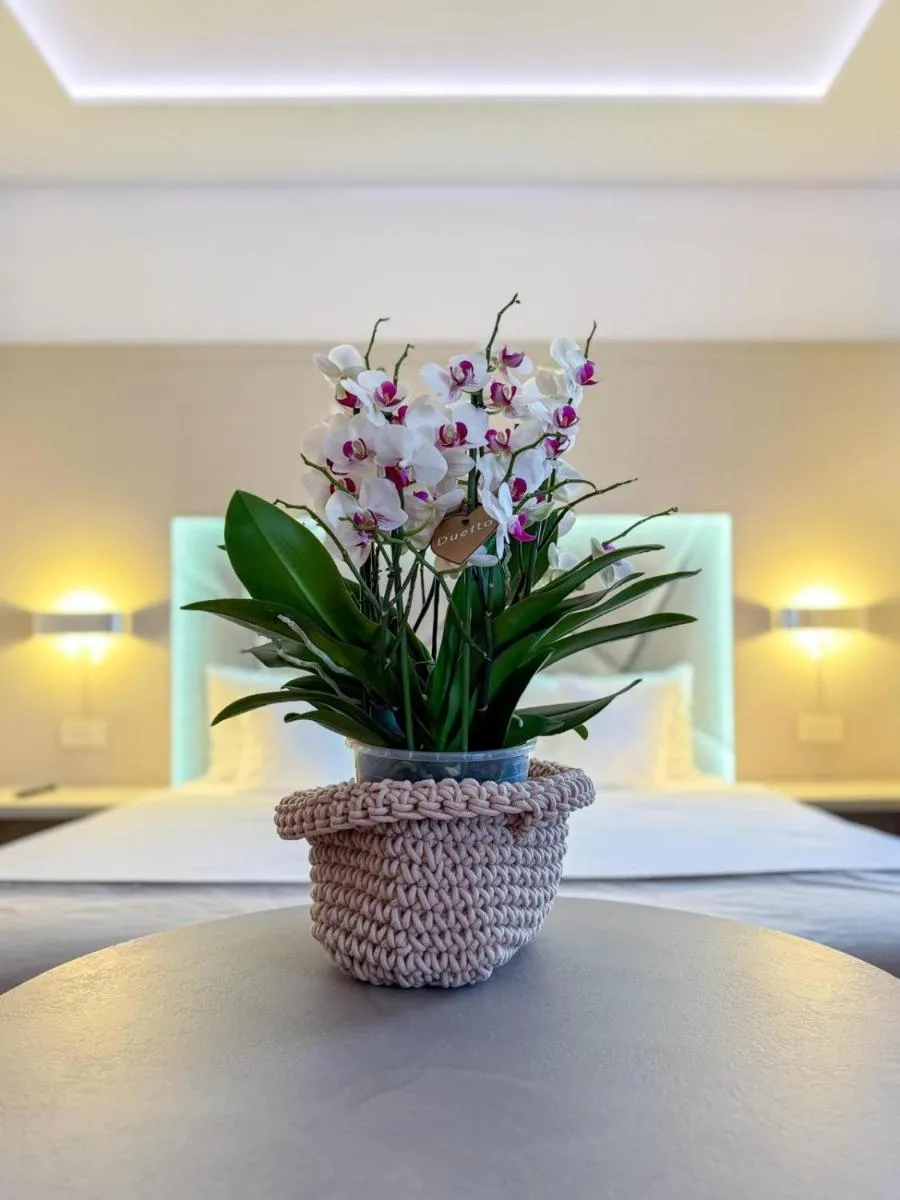 Image 5 of Hotel Eden Garden Spa
