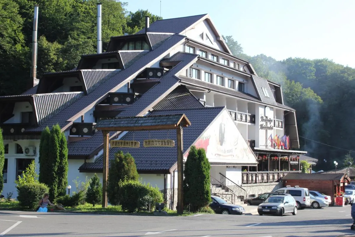 Image 3 of Hotel Fantanita Haiducului