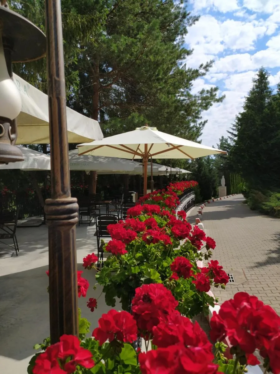 Image 7 of Hotel Germisara