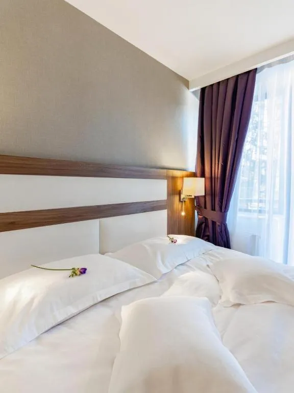 Image 4 of Hotel Miruna – New Belvedere