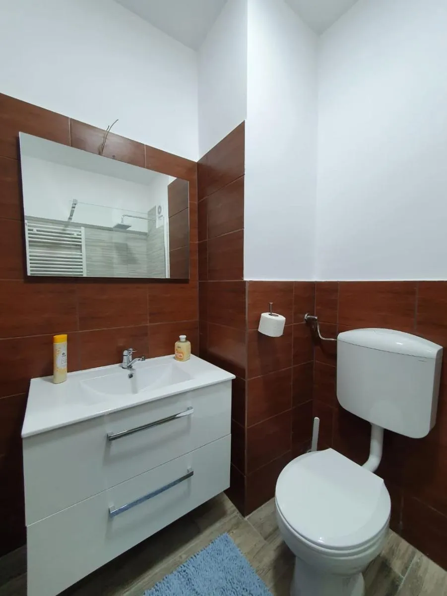Image 6 of Hotel Petroshani srl