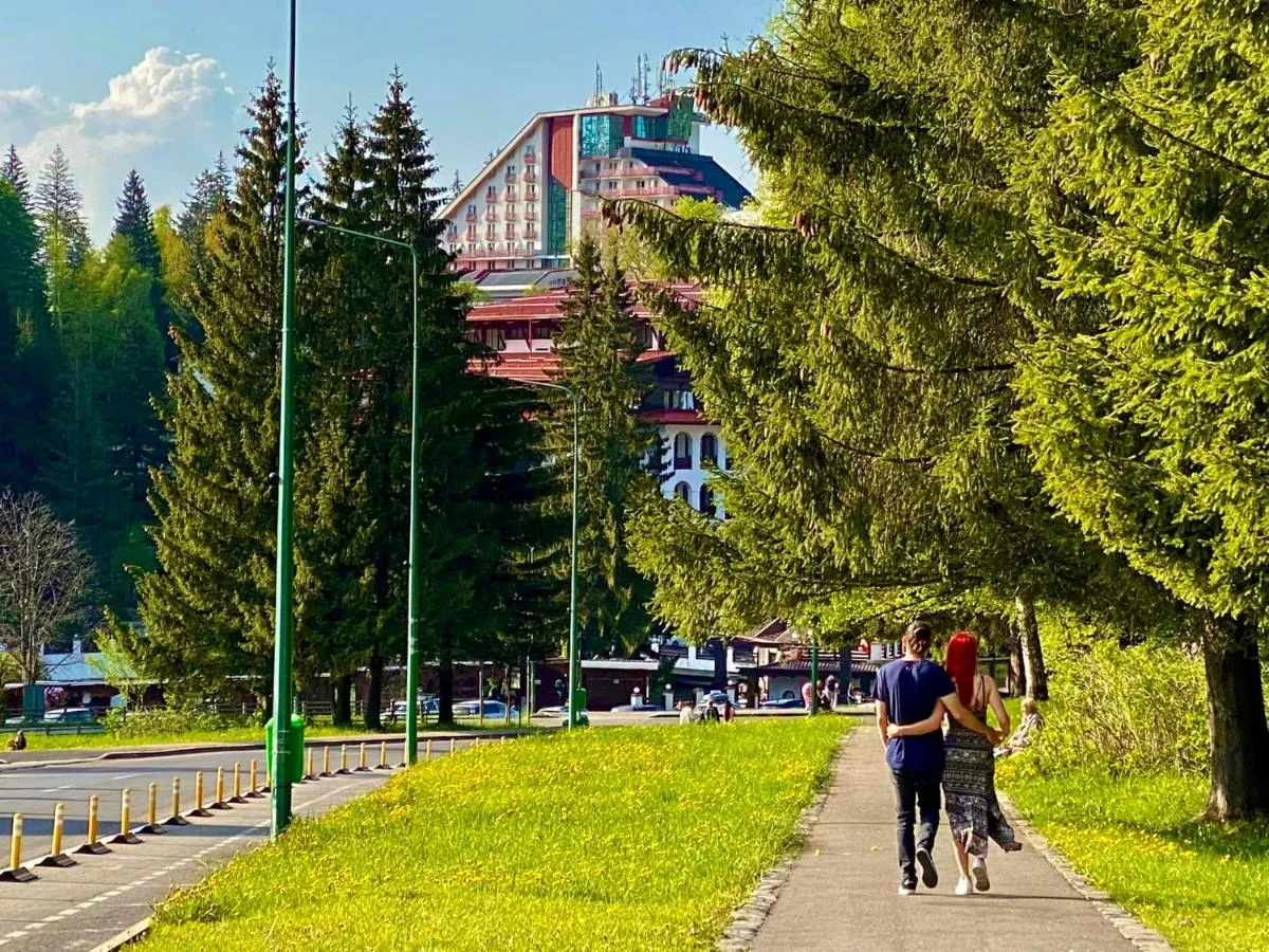Image 2 of Hotel Piatra Mare