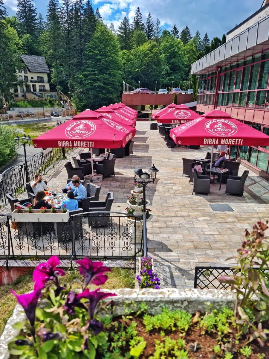 Image 7 of Hotel Piatra Mare