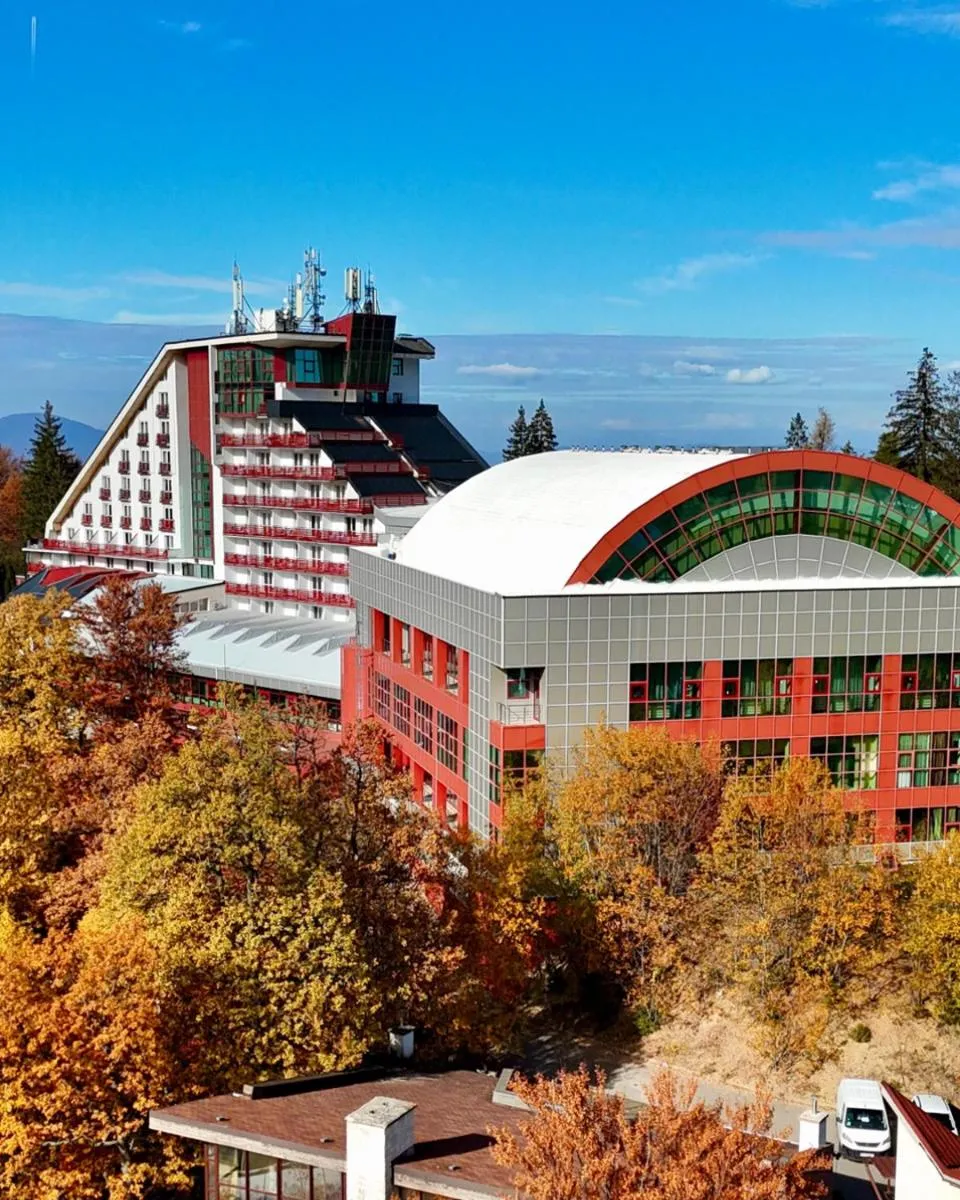 Image 6 of Hotel Piatra Mare