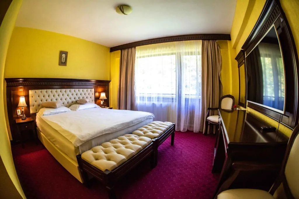 Image 1 of Hotel Trei Brazi