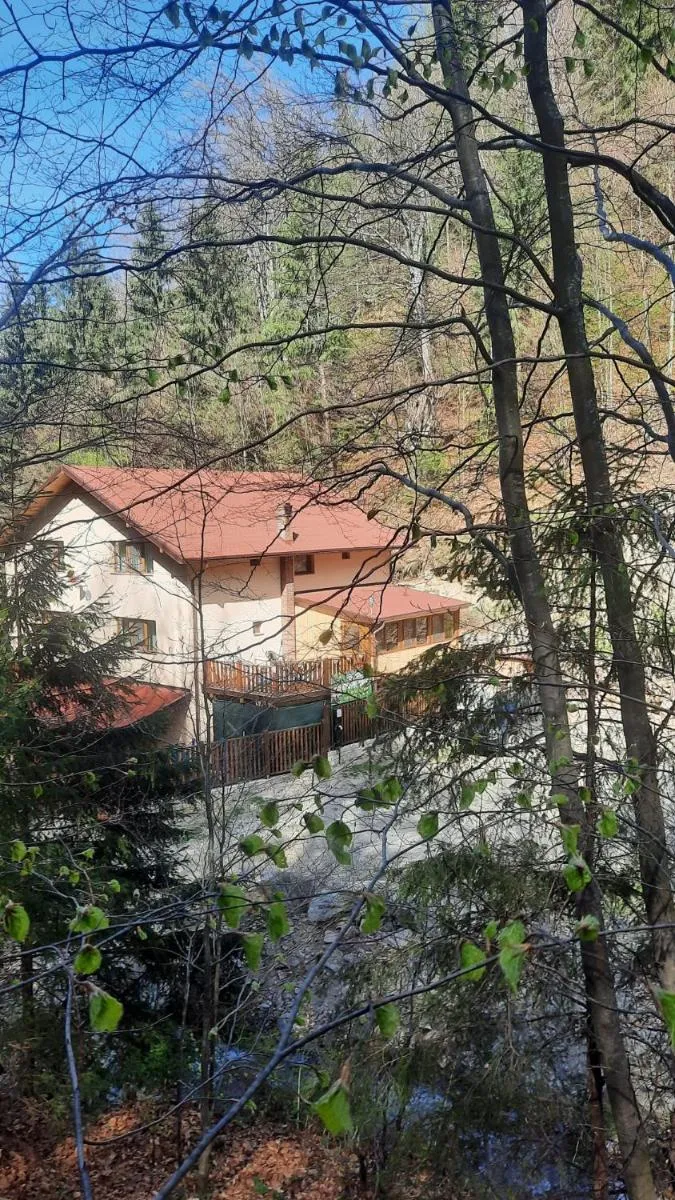 Image 6 of Izvorul Maleii