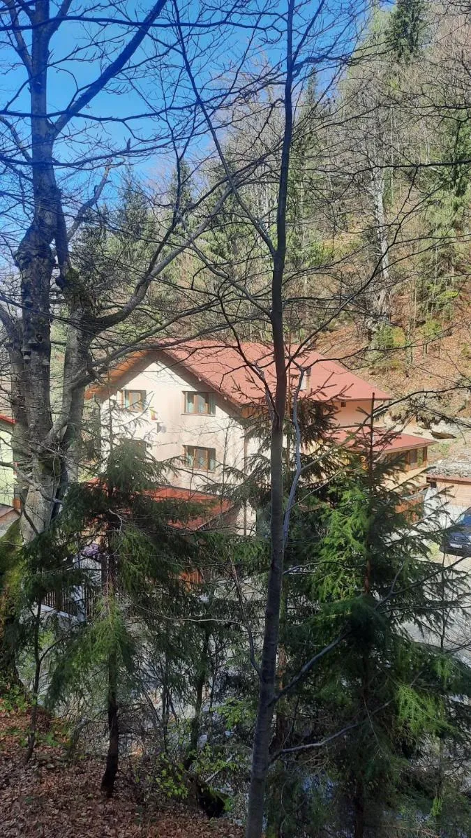 Image 5 of Izvorul Maleii
