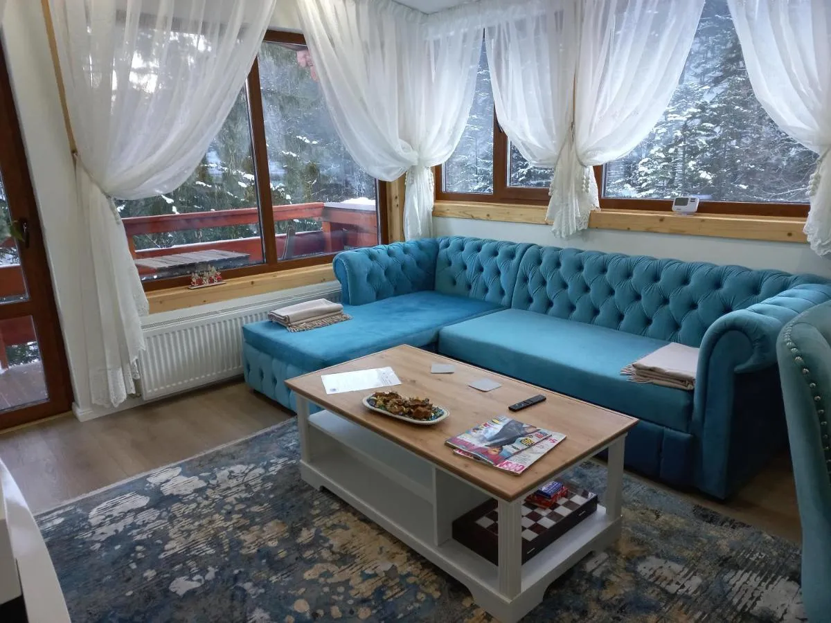 Image 2 of Kalinderu luxury ski loft