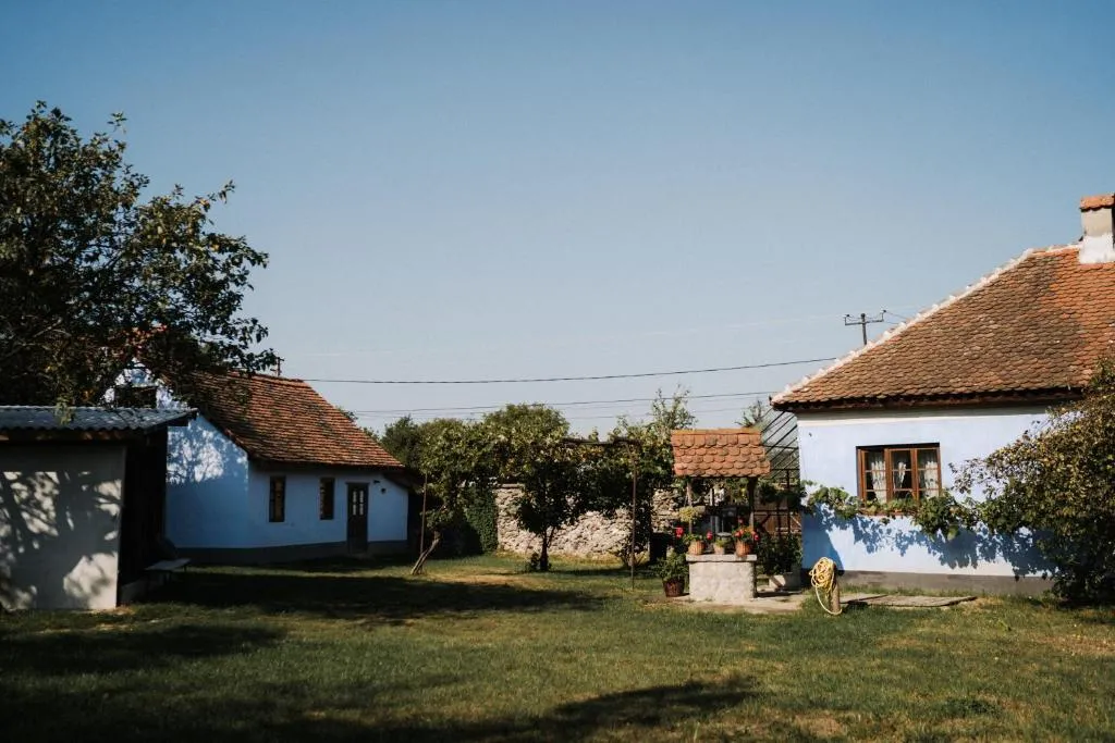 Image 1 of La Mama Anica