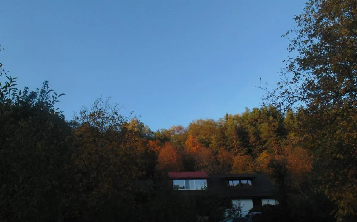 Image 2 of Lake Residence