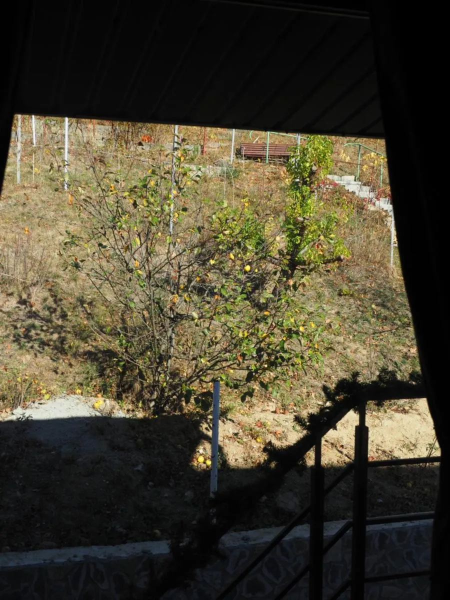 Image 7 of Lake Residence